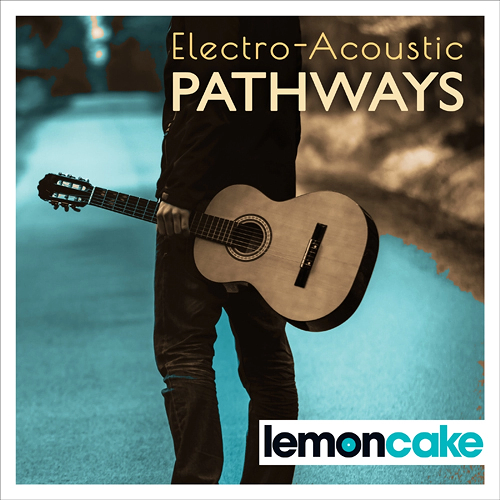 ELECTRO-ACOUSTIC PATHWAYS