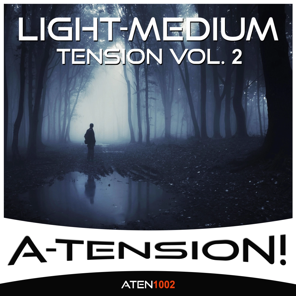 LIGHT MEDIUM TENSION VOL.2