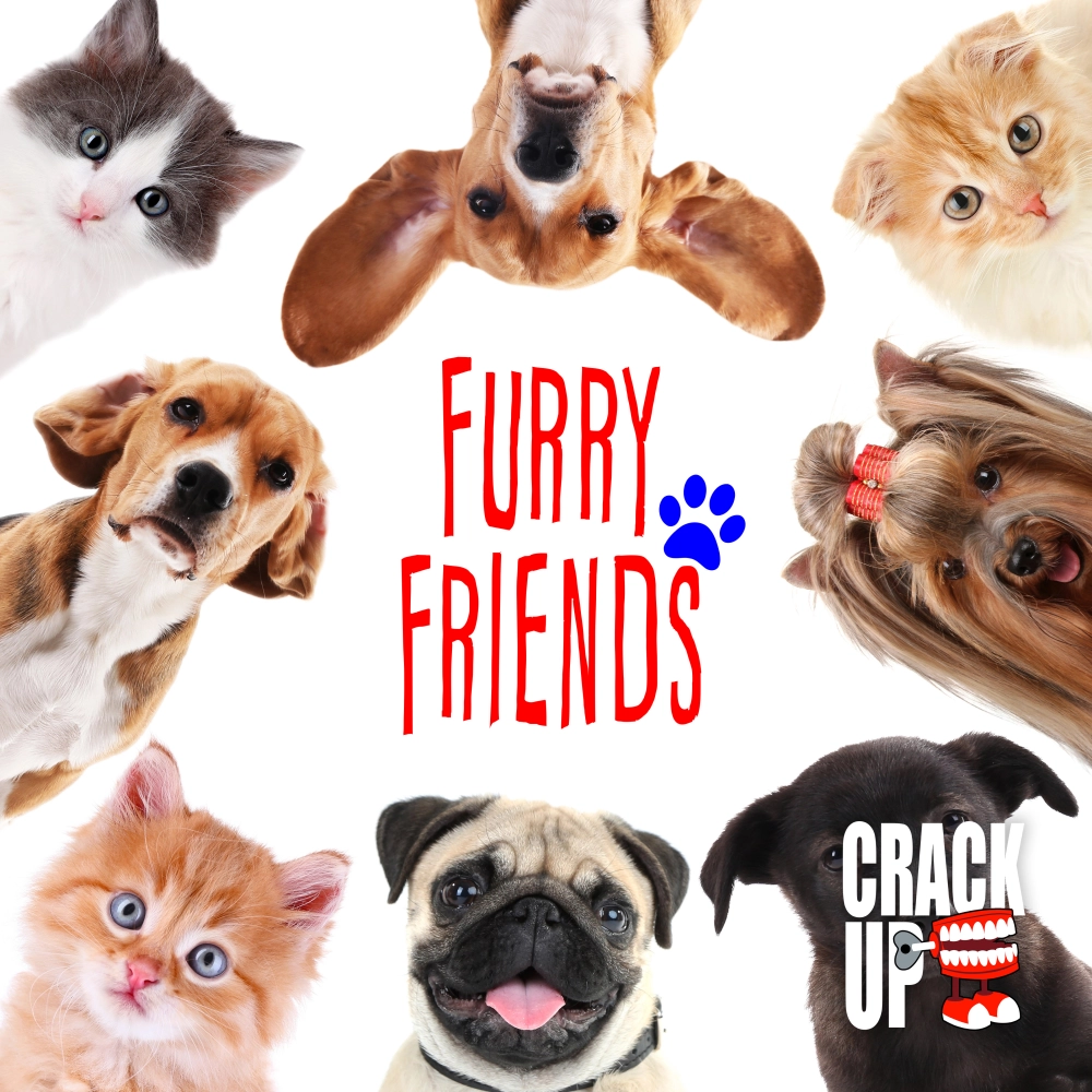 Furry Friends