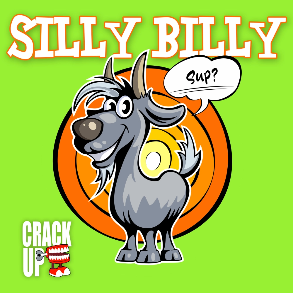 SILLY BILLY