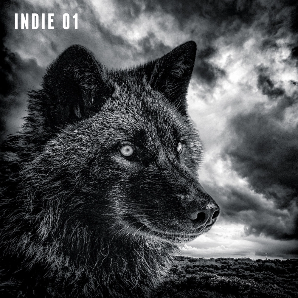 Indie 01