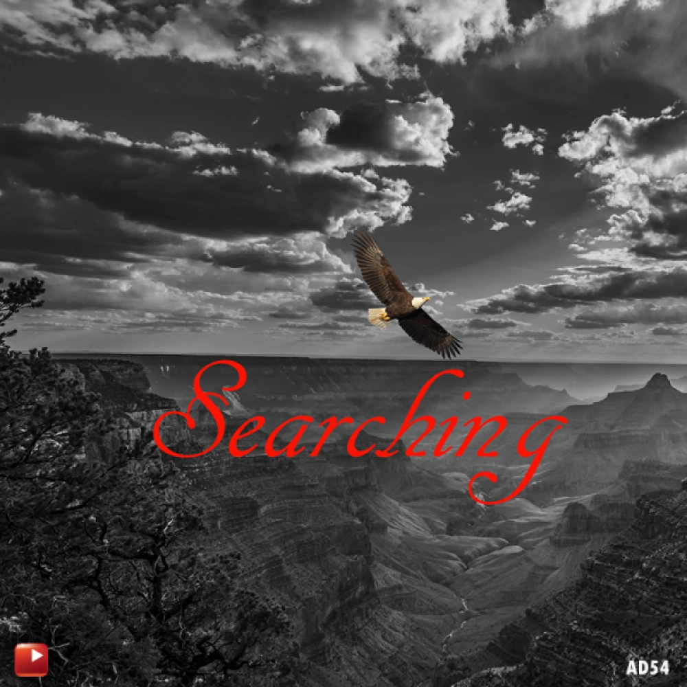 Searching