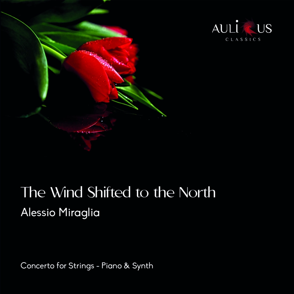 The Wind Shifted To The North: Concerto For Strings, Piano & Synth