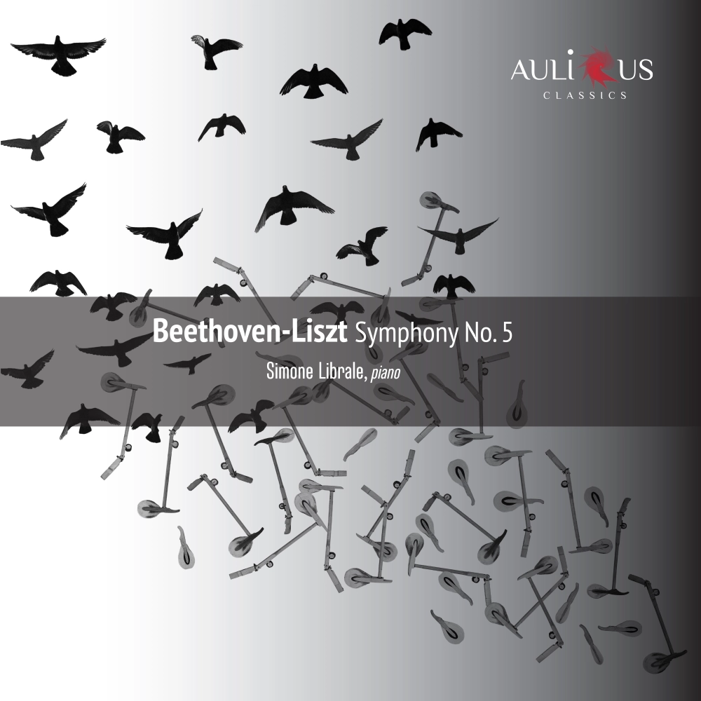 Beethoven-liszt: Symphony No. 5