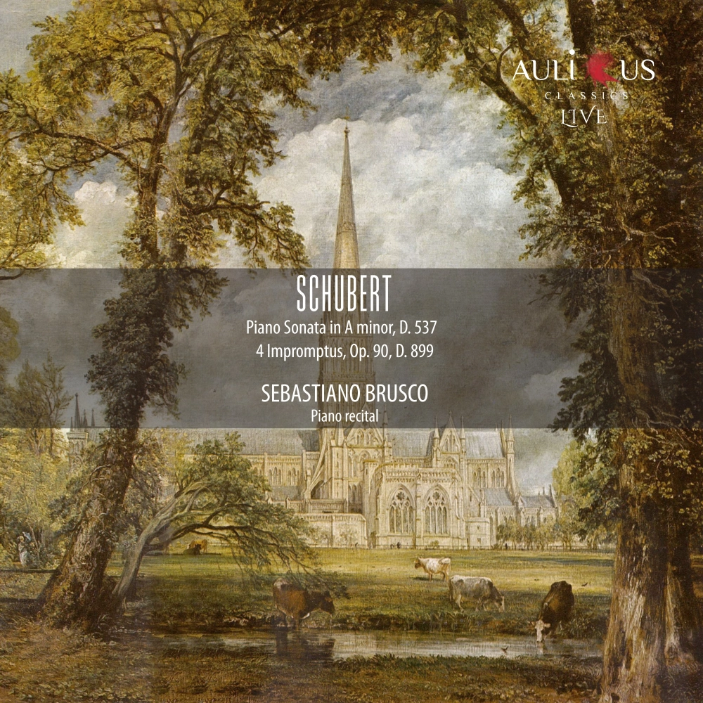 Schubert: Piano Sonata In A Minor, D. 537 - 4 Impromptus, Op. 90, D. 899