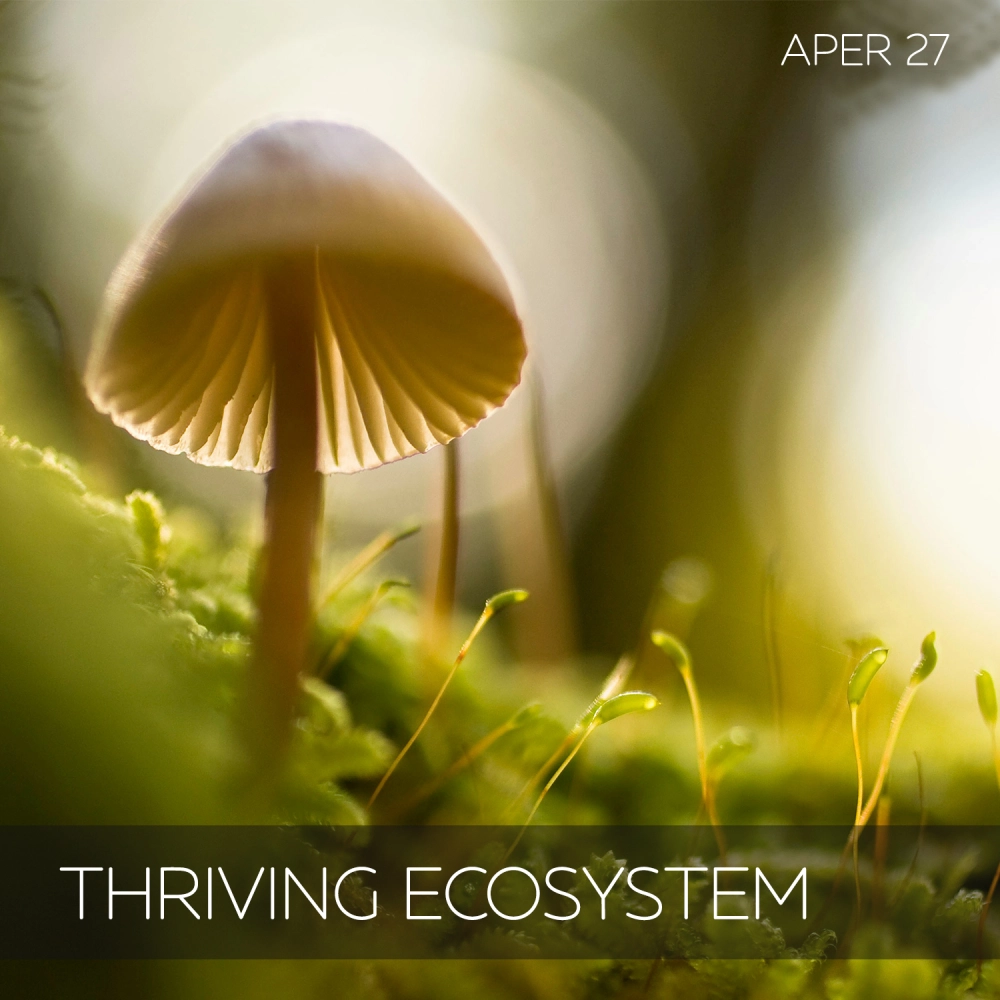 Thriving Ecosystem