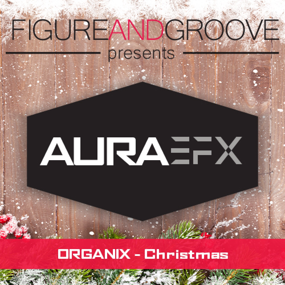 Organix - Christmas