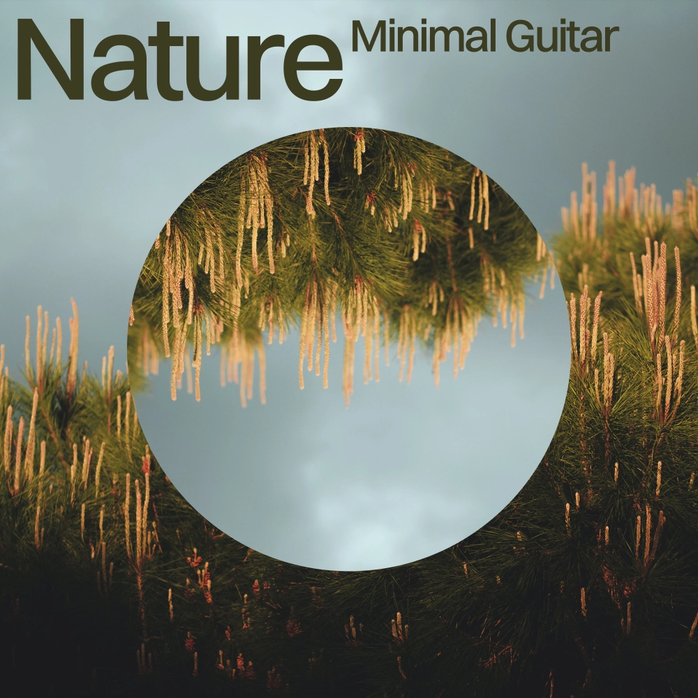 Minimal Guitar