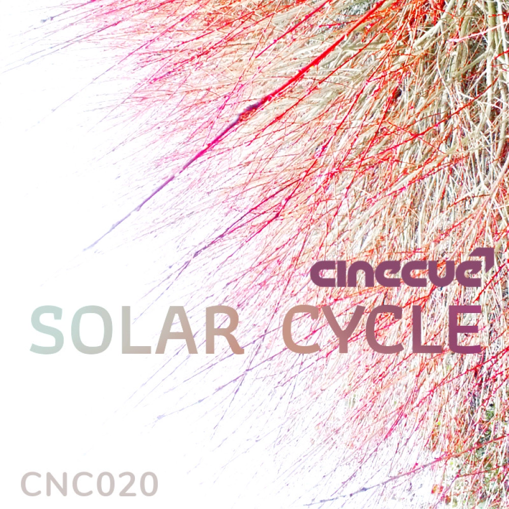 Solar Cycle