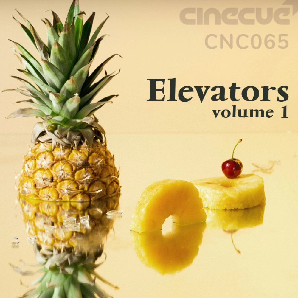 Elevators Volume 1