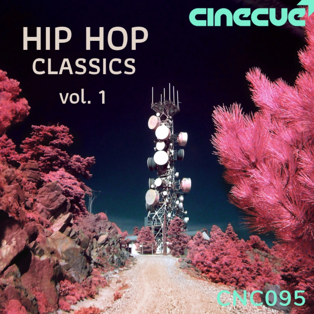 Hip Hop Classics Volume 1