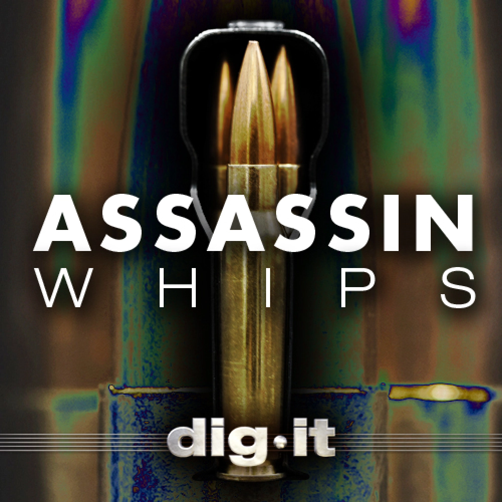 Assassin: Whips