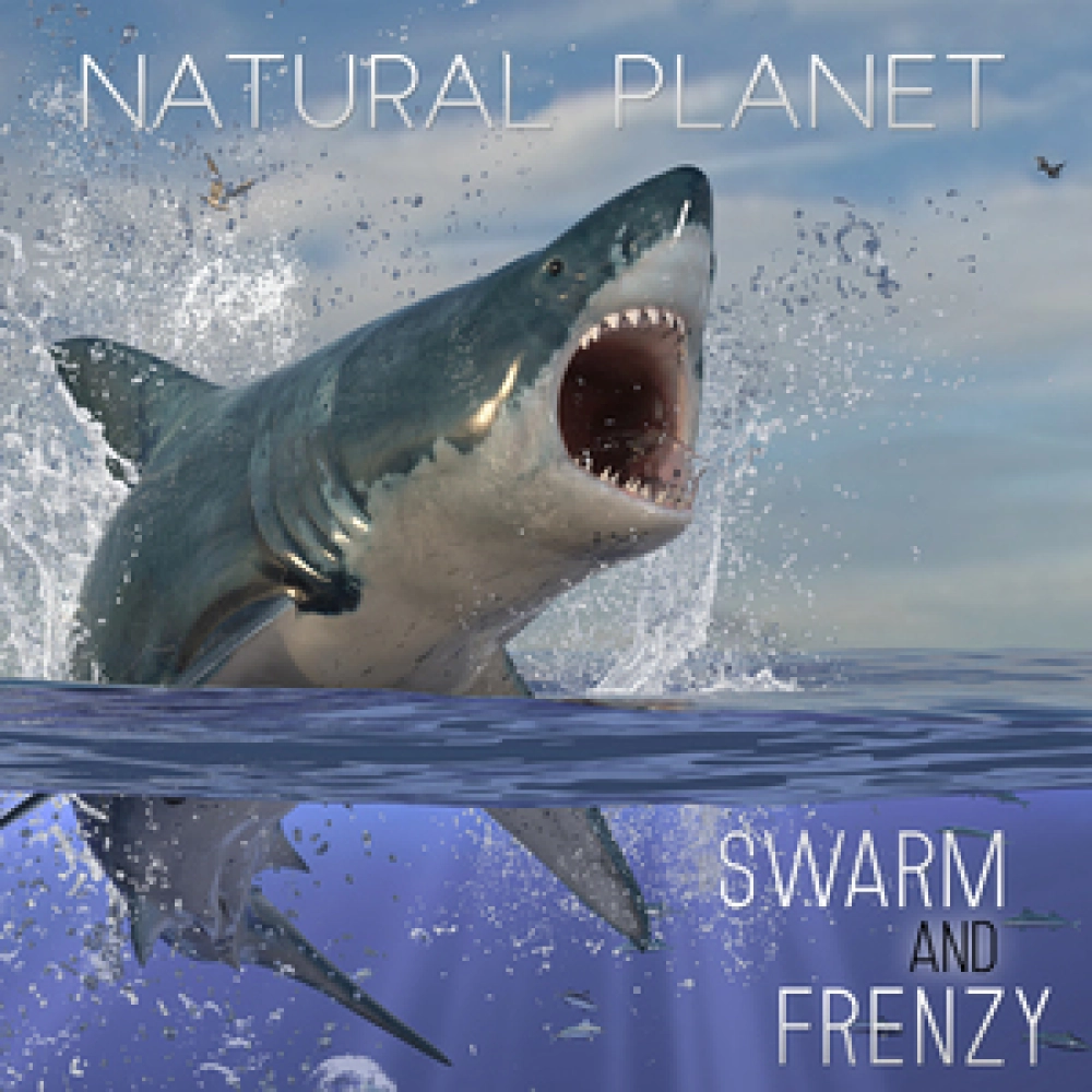 Natural Planet - Swarm And Frenzy