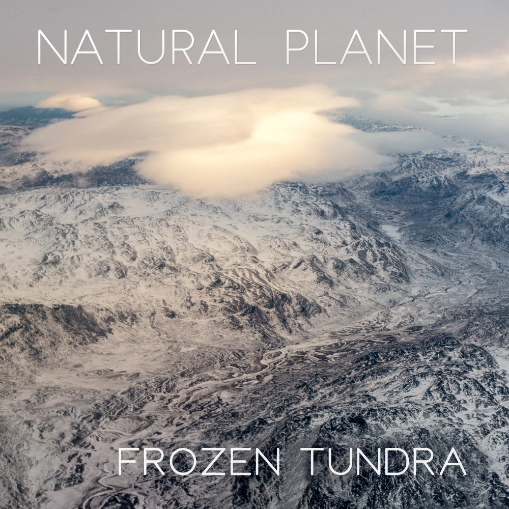 Natural Planet - Frozen Tundra