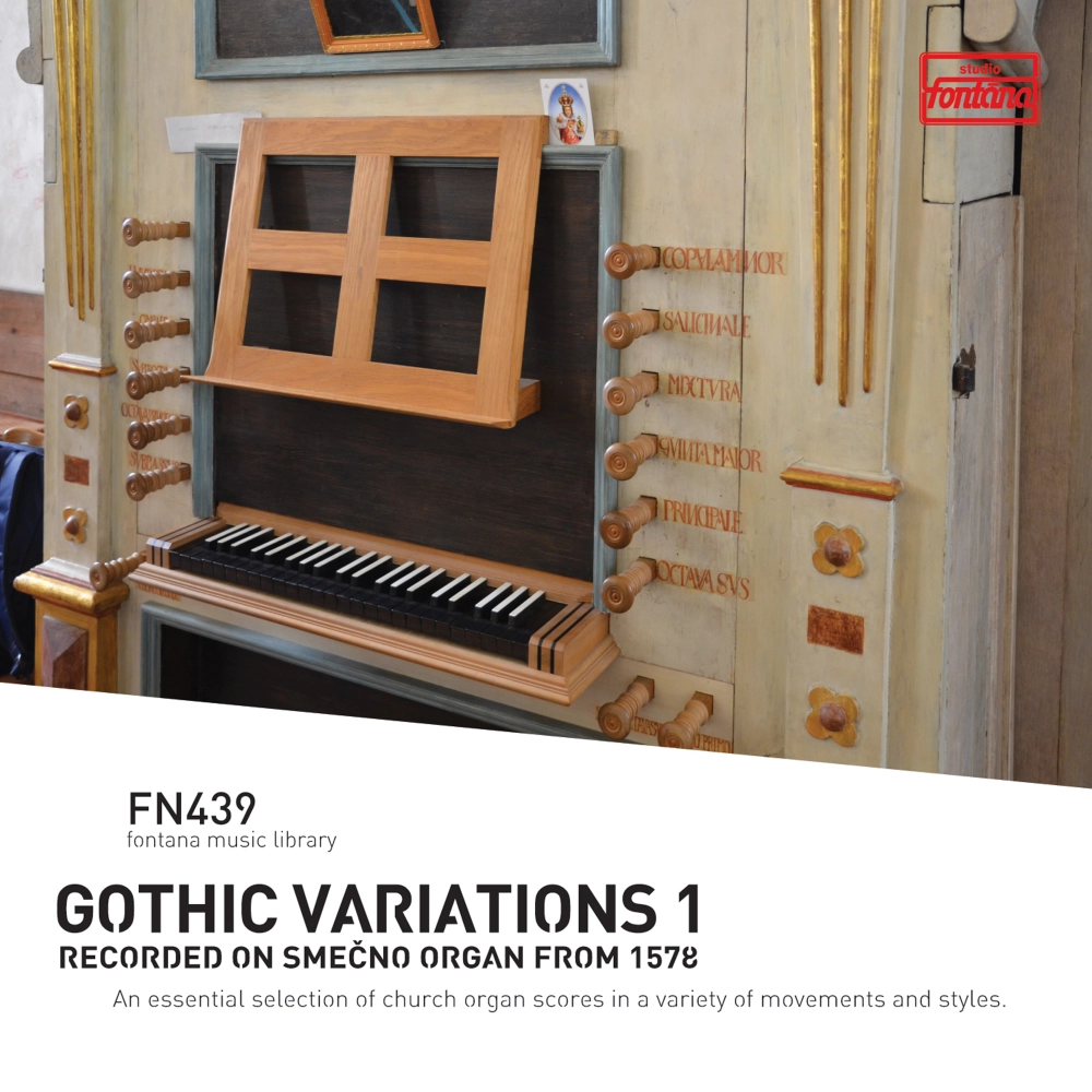 Gothic Variations 1 - Recorded On Smecno Organ From 1587