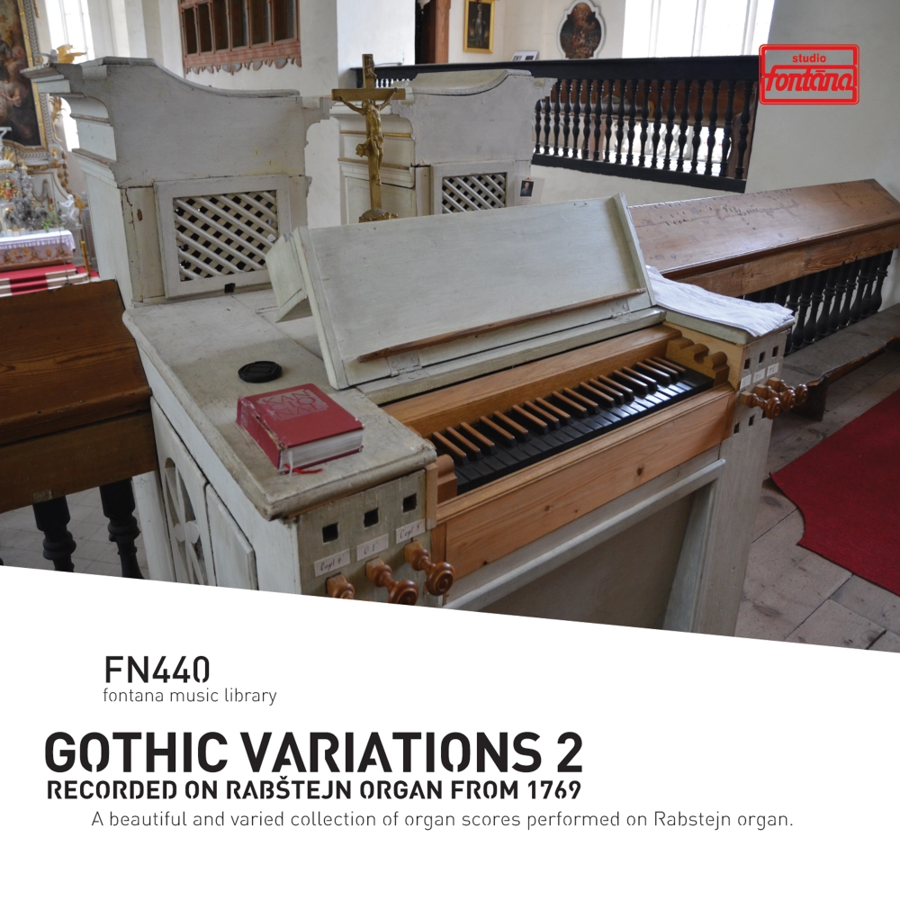 Gothic Variations 2 - Recorded On Rabstejn Organ From 1769