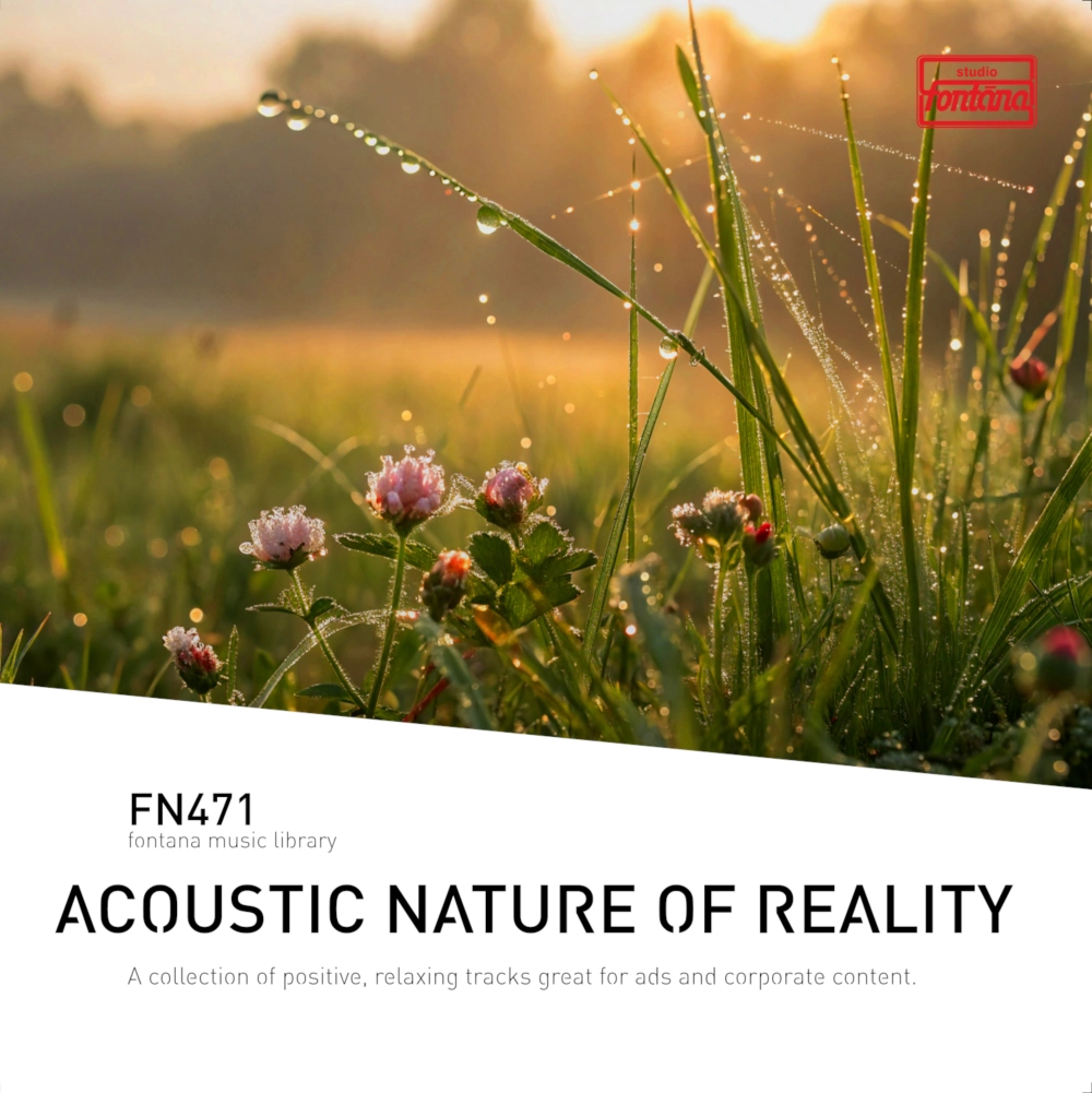 Acoustic Nature Of Reality