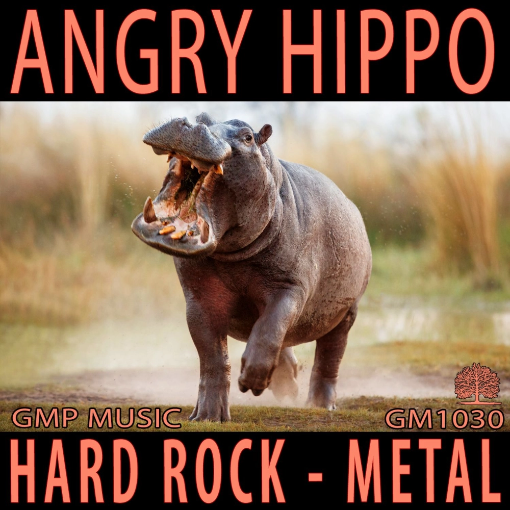 Angry Hippo