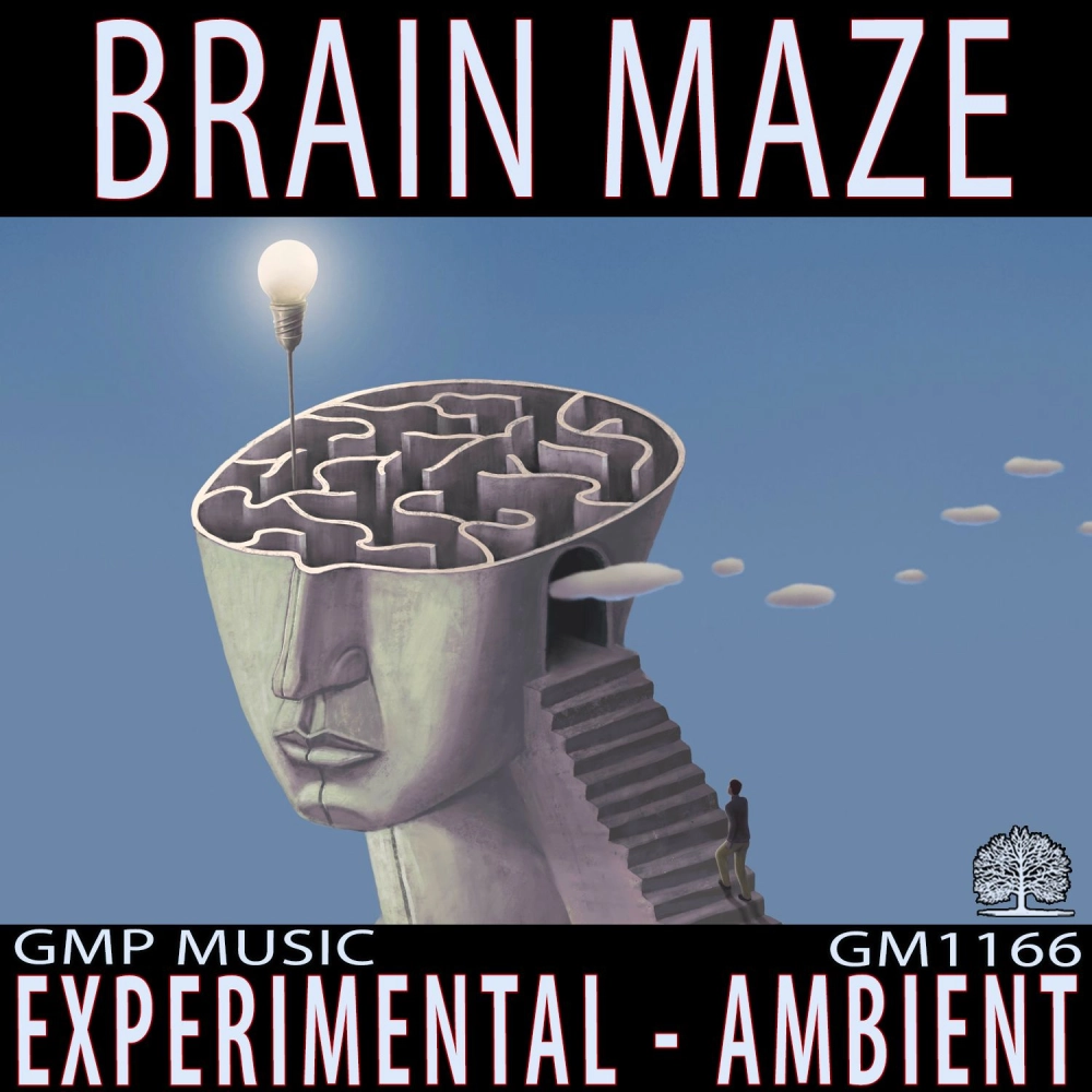 Brain Maze