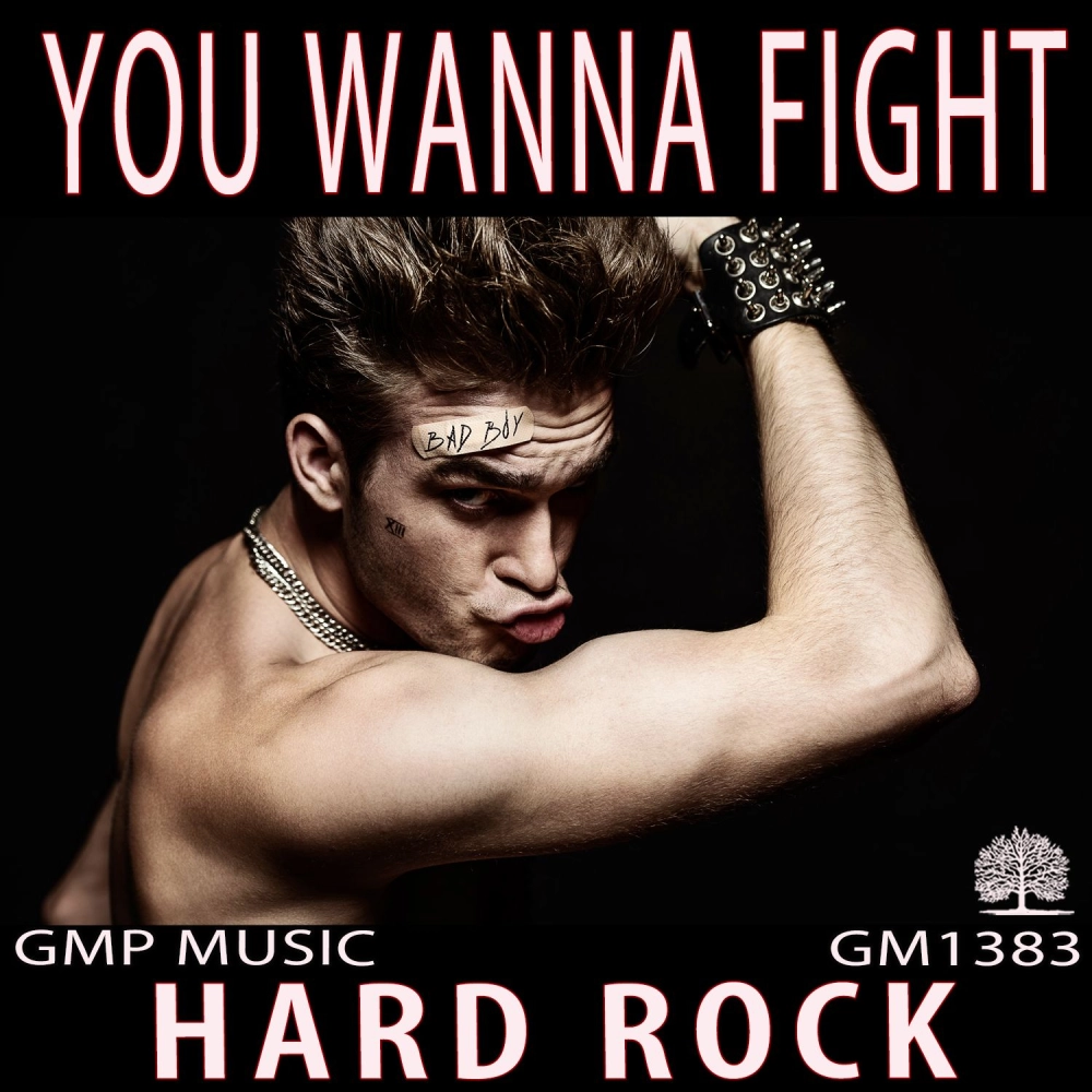 You Wanna Fight
