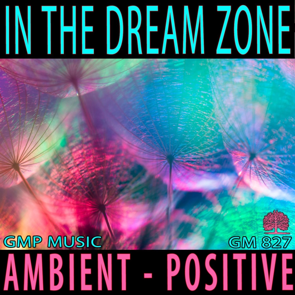 In The Dream Zone