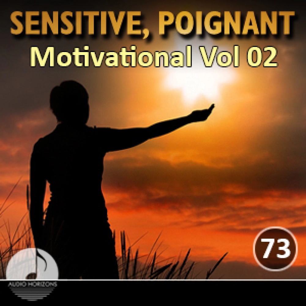 Sensitive Poignant 73 Motivational Vol 02