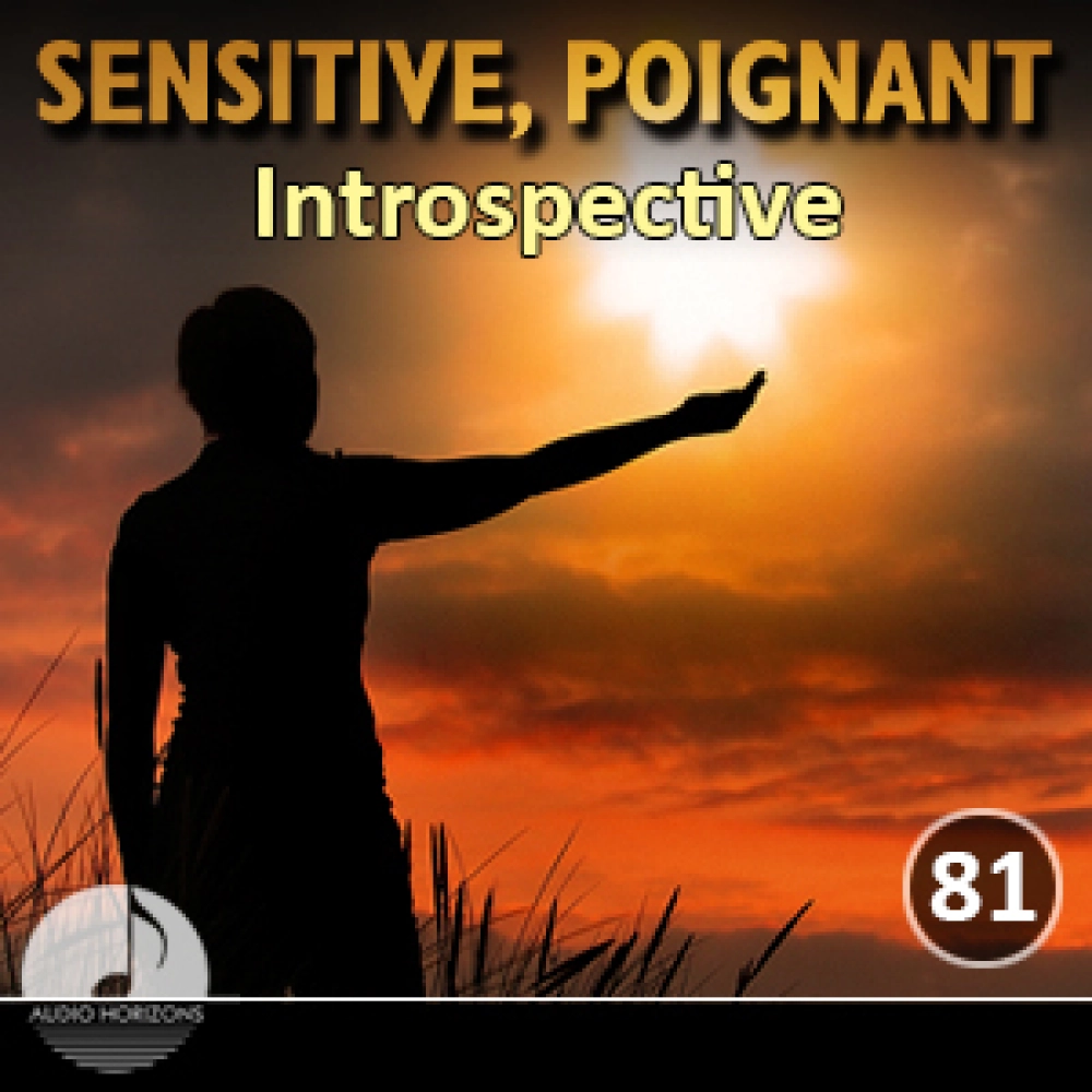 Sensitive Poignant 81 Introspective