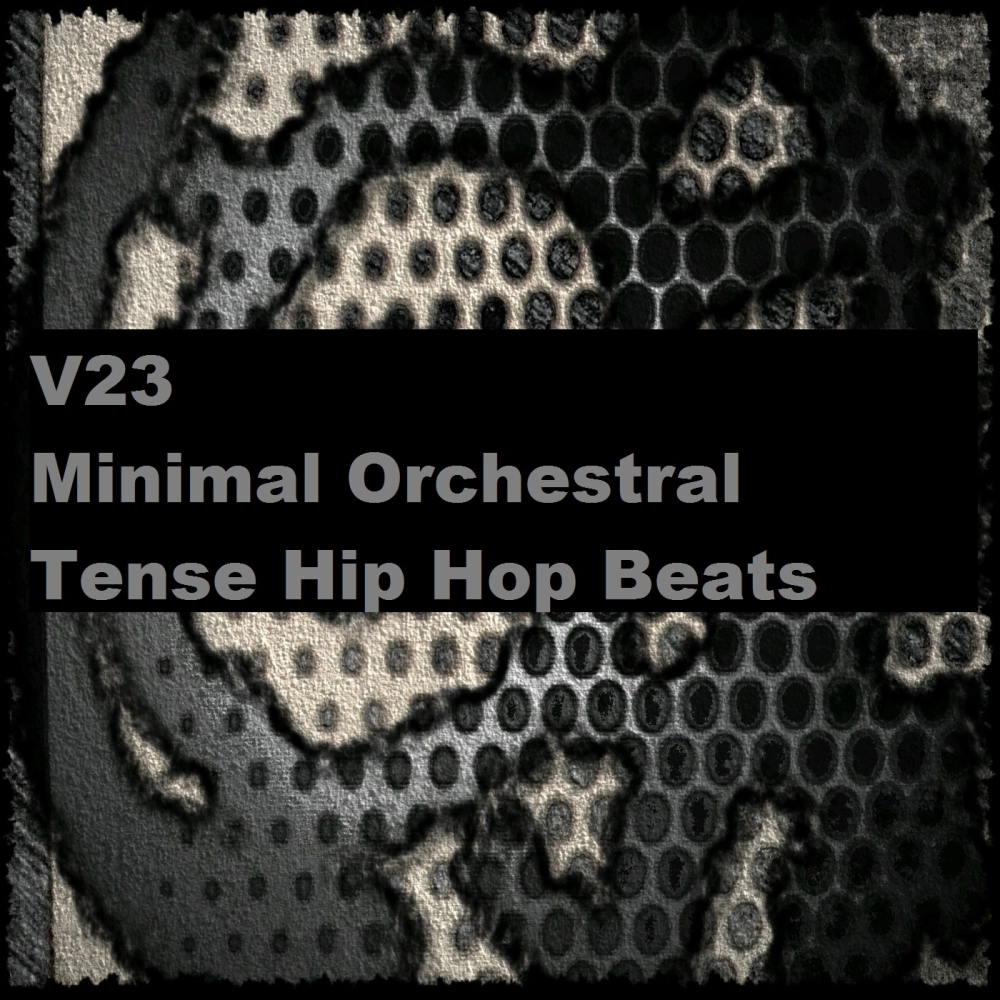 V23 Minimal Orchestral Tense Hip Hop Beats