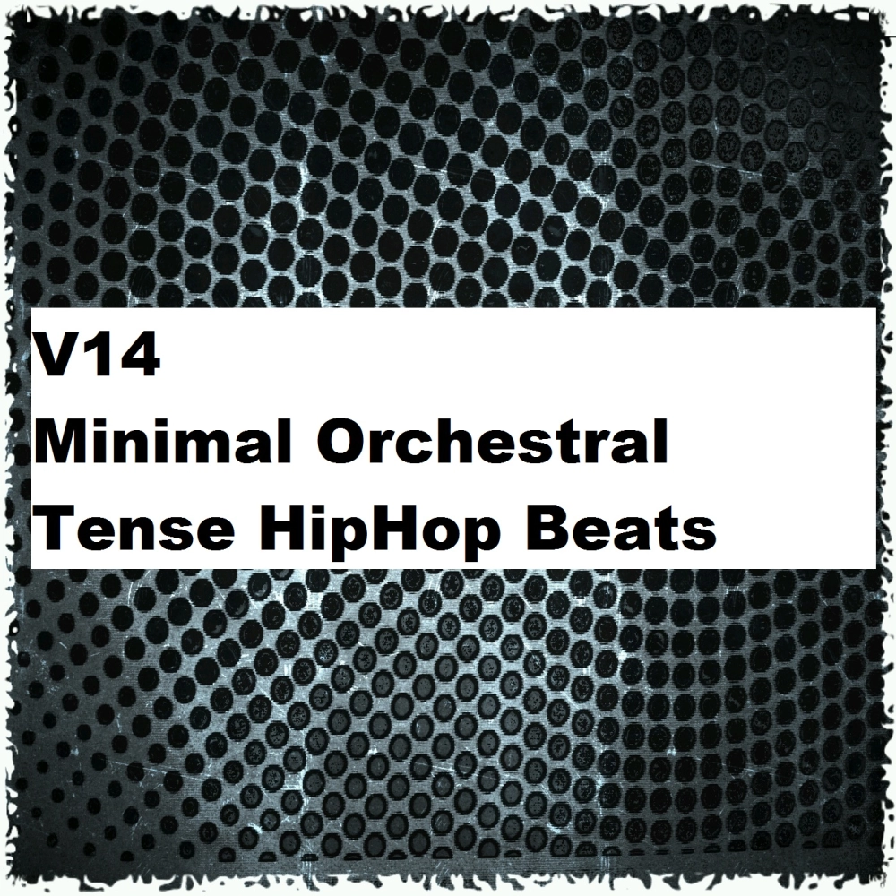 V14 Minimal Orchestral Tense Hiphop Beats