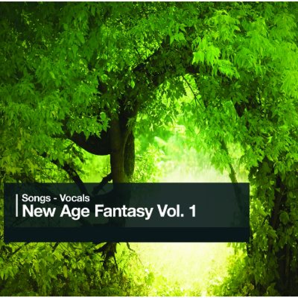 New Age Fantasy Vol. 1