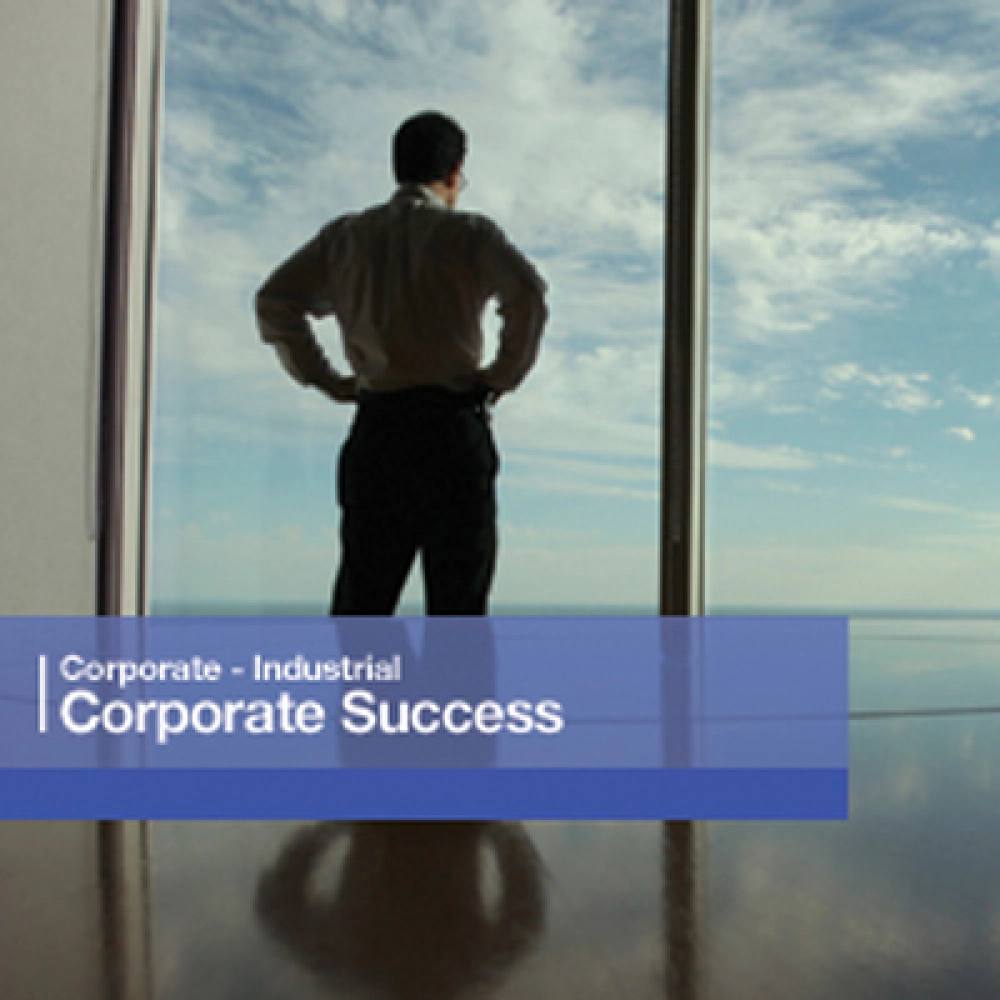 Corporate Success Vol. 1