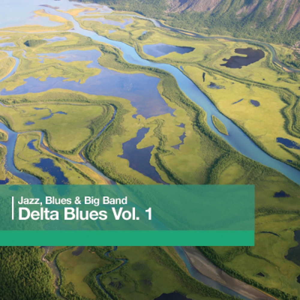 Delta Blues Vol. 1