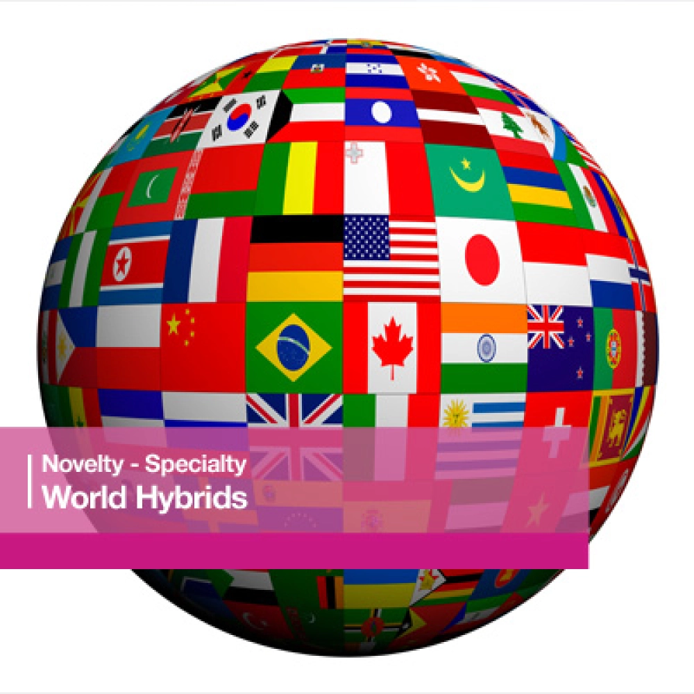 World Hybrids