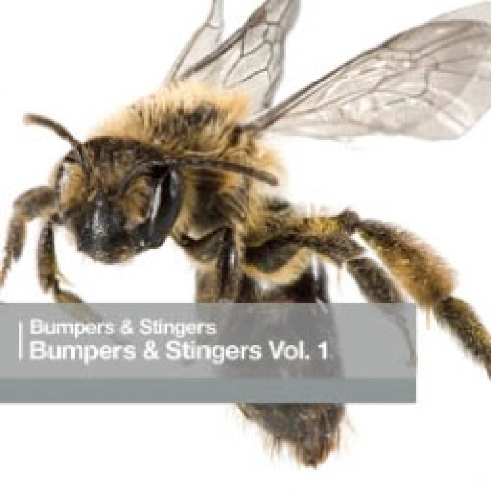 Bumpers & Stingers Vol. 1