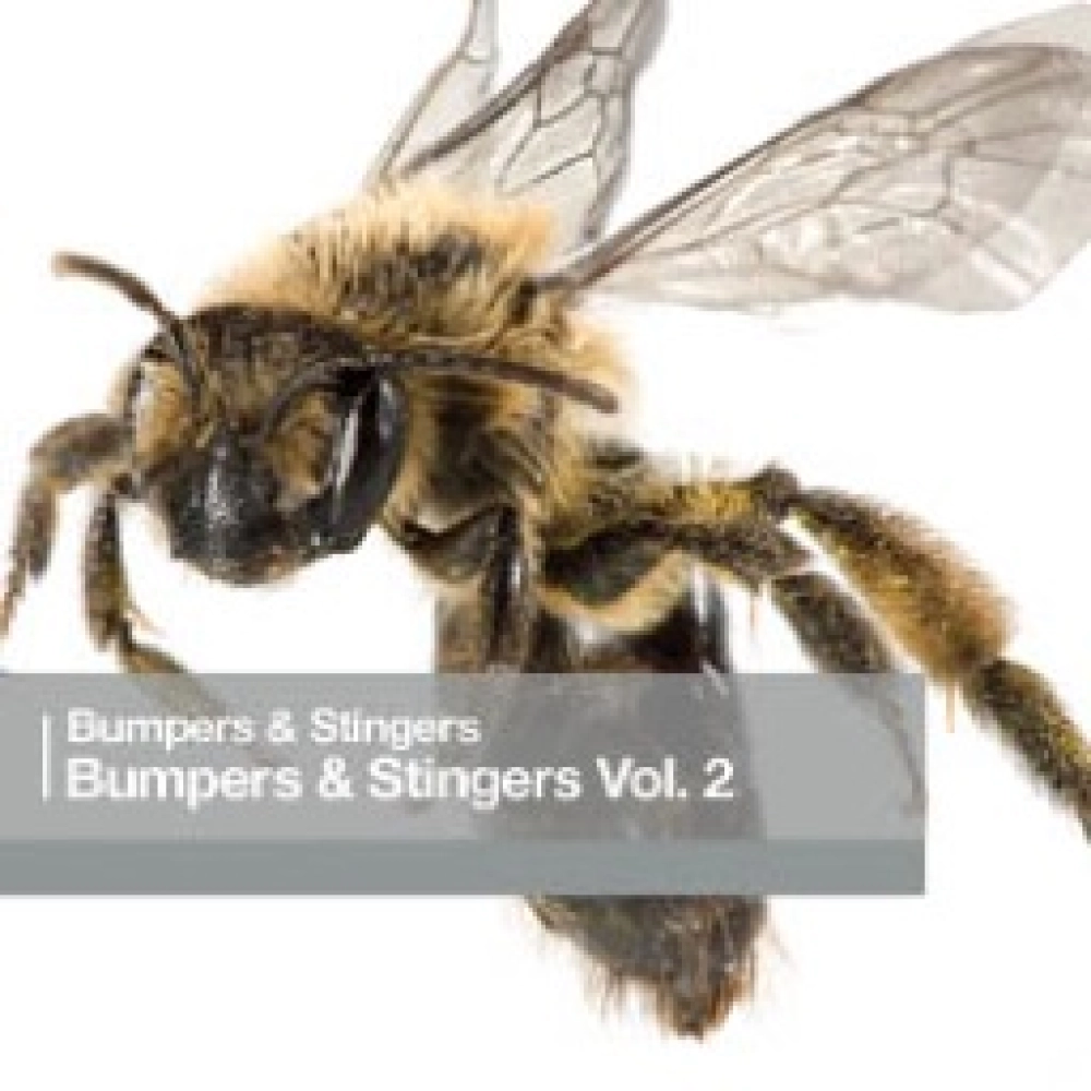 Bumpers & Stingers Vol. 2