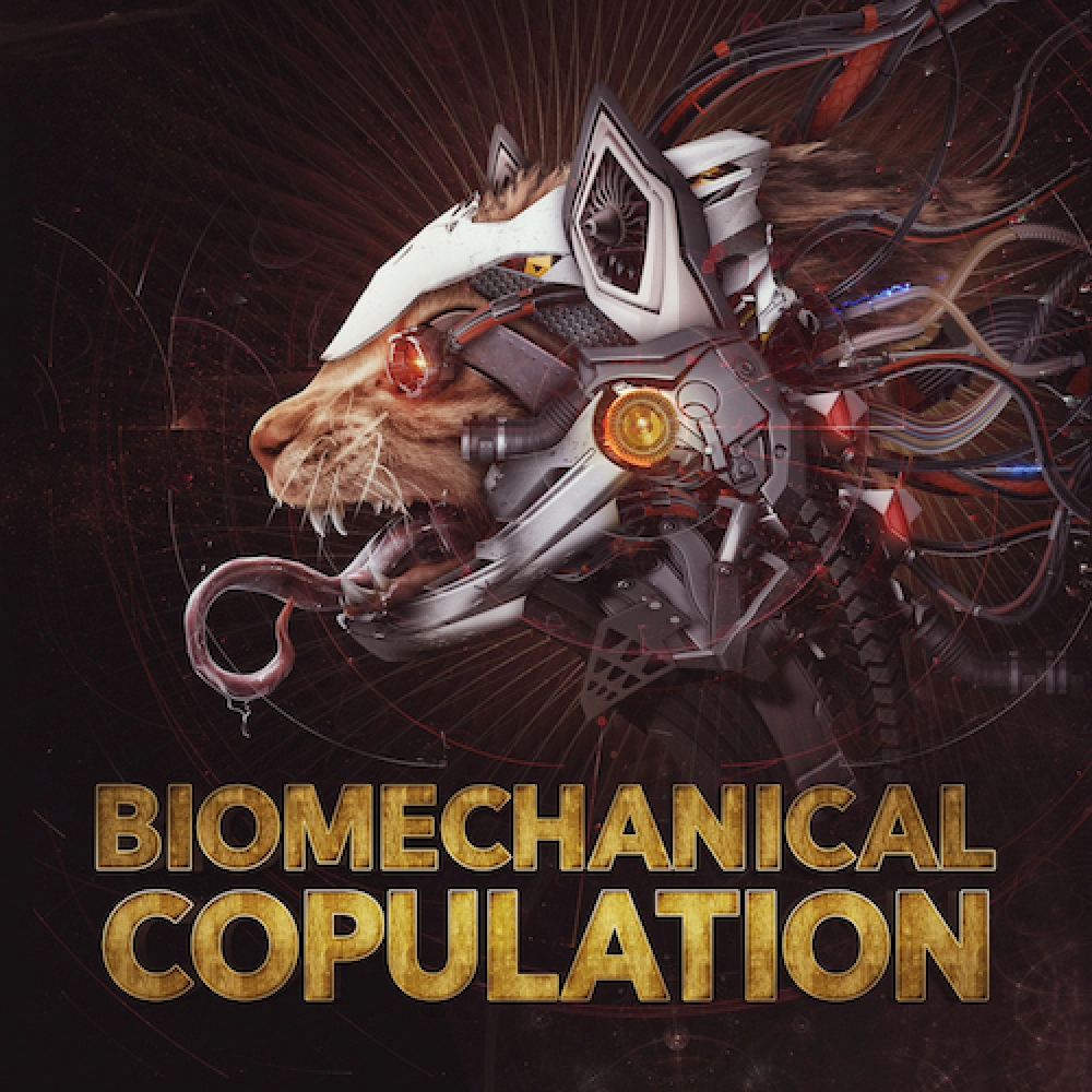 Biomechanical Copulation