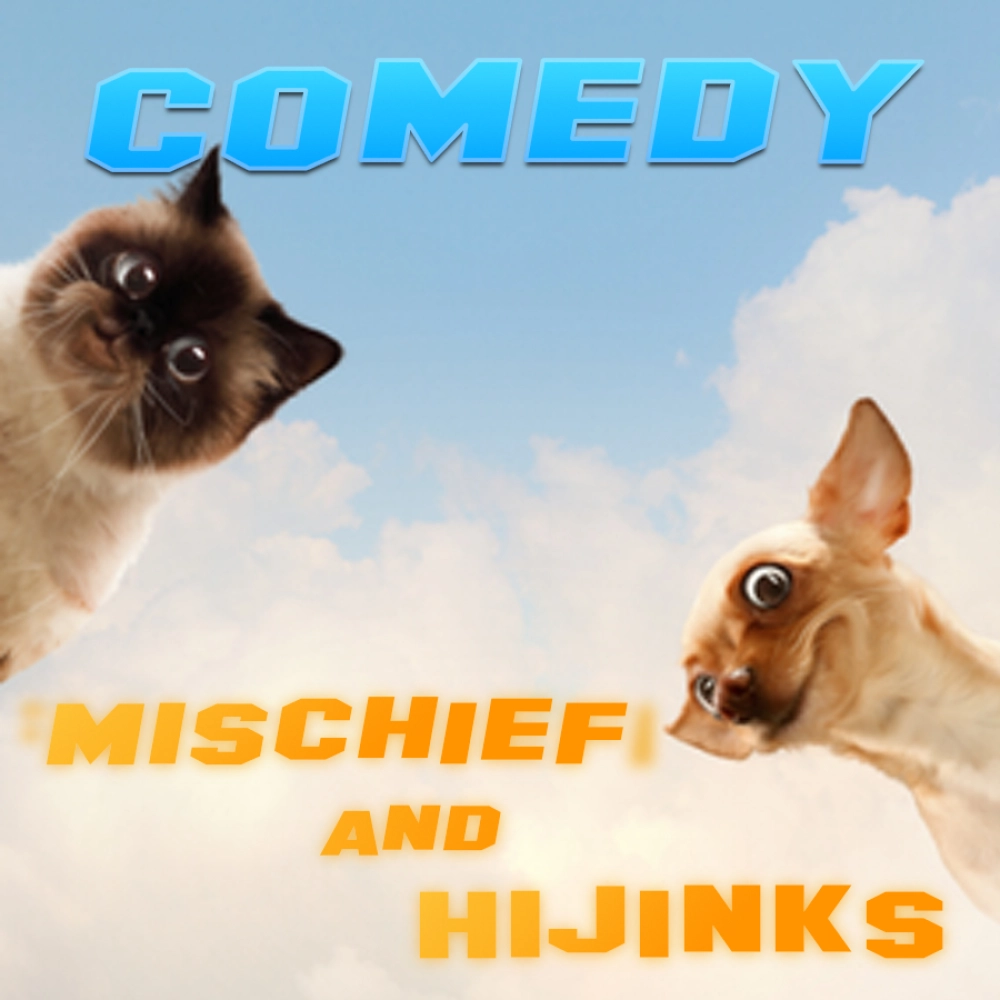 Comedy Mischief And Hijinks