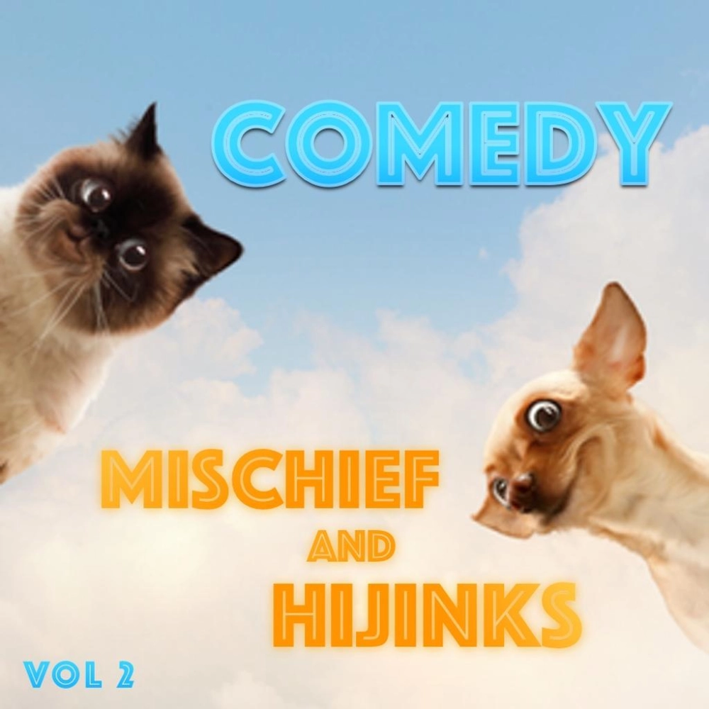 Comedy Mischief And Hijinks Vol. 2