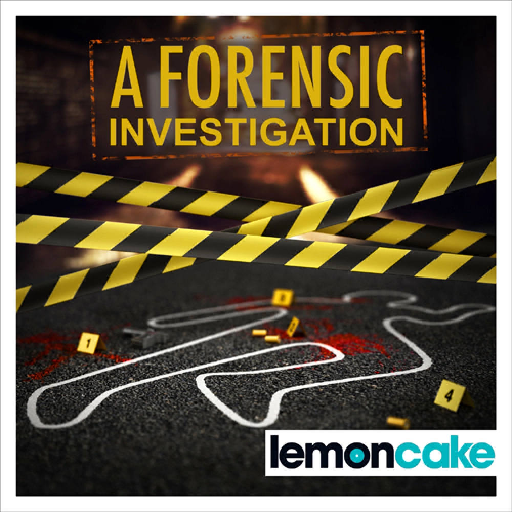 A Forensic Investigation