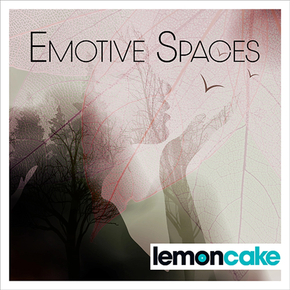 Emotive Spaces