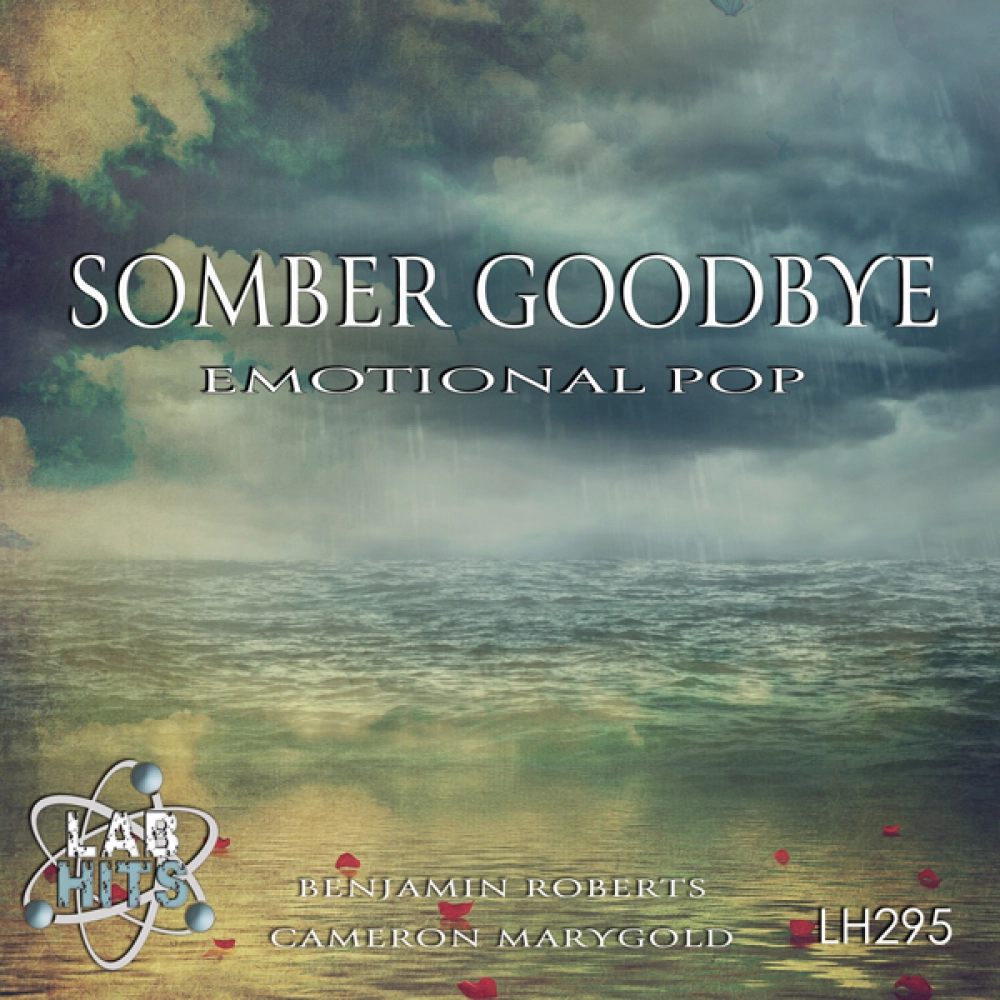 Somber Goodbye - Emotional Pop