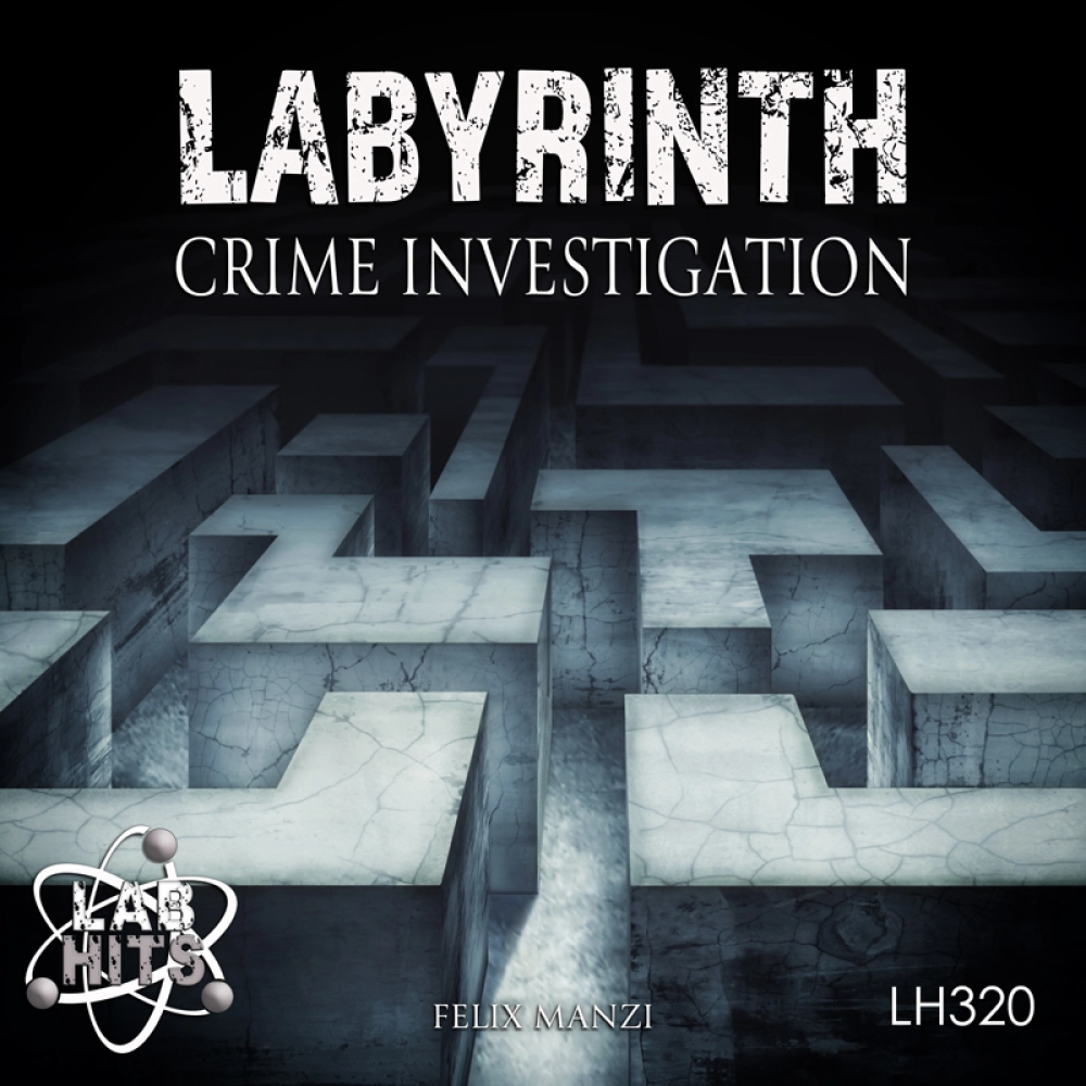 Labyrinth - Crime Investigation