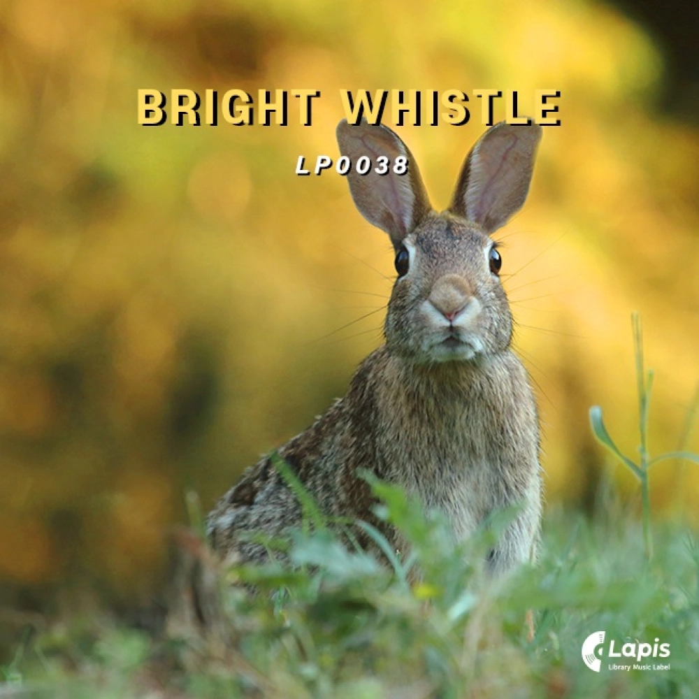 Bright Whistle