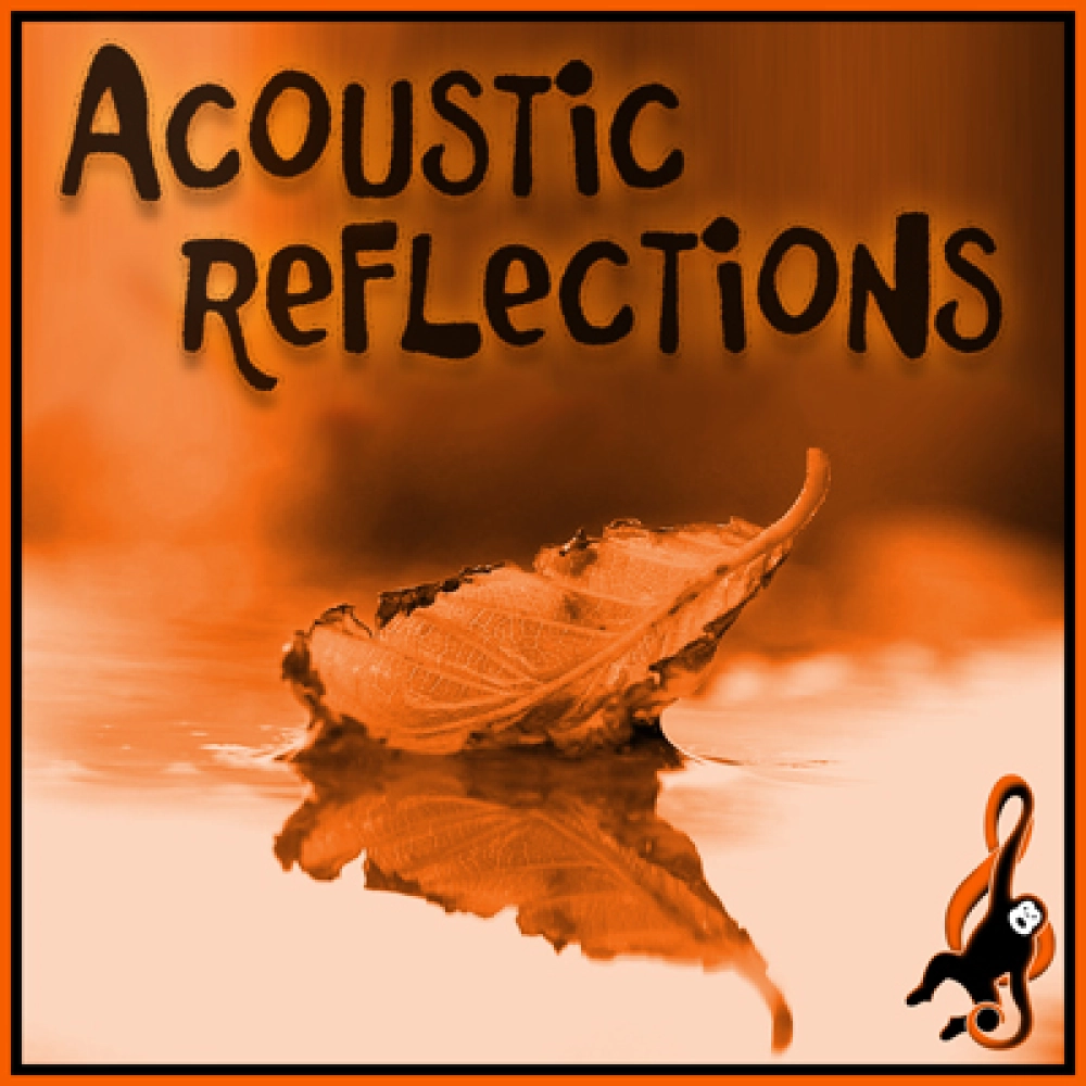 Acoustic Reflections