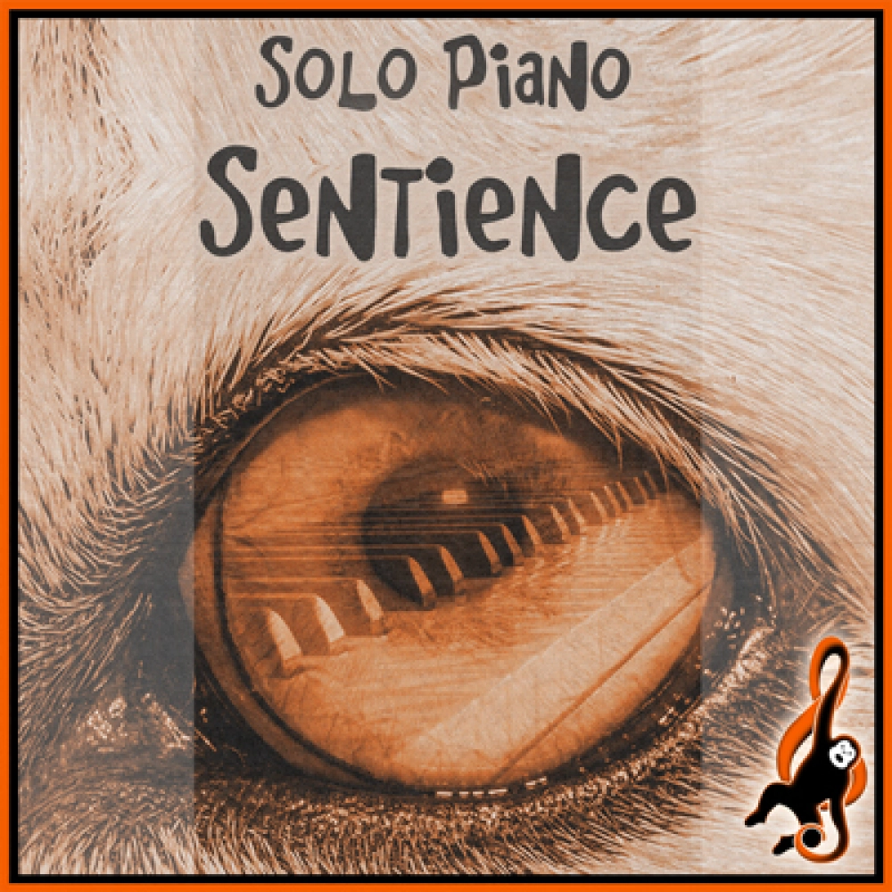 Solo Piano - Sentience