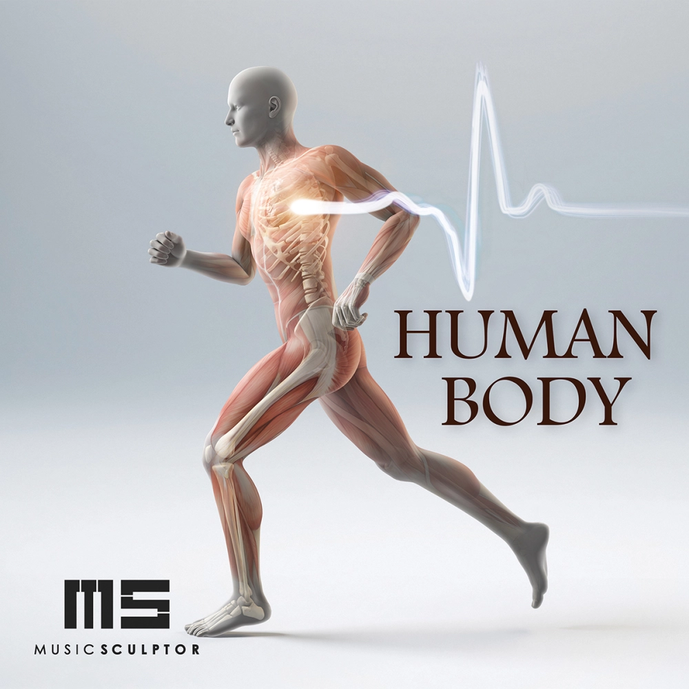 Human Body