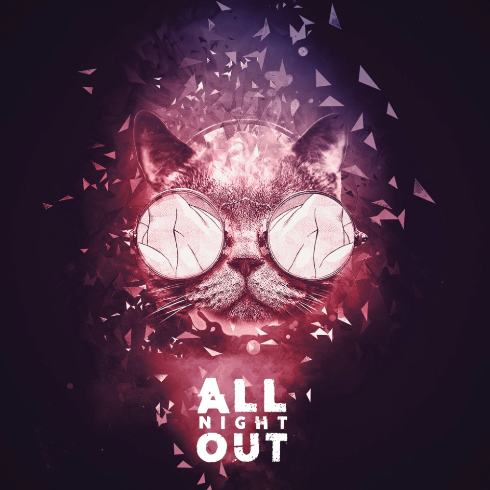 All Night Out - Edm Club