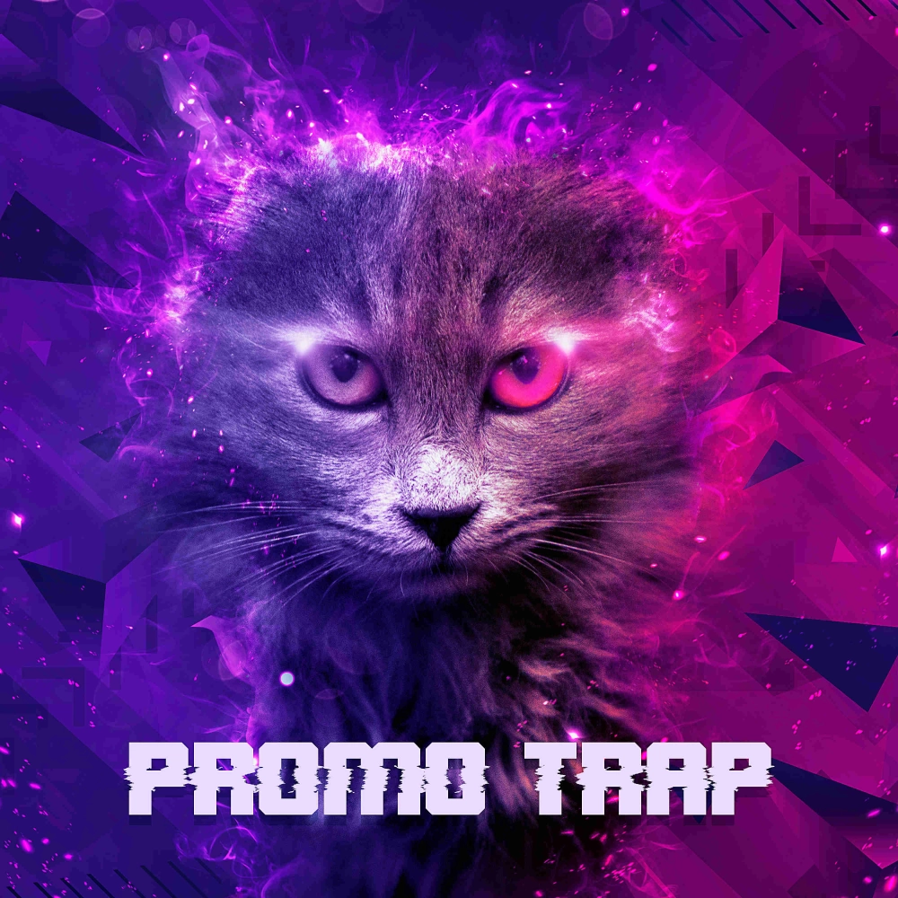Promo Trap