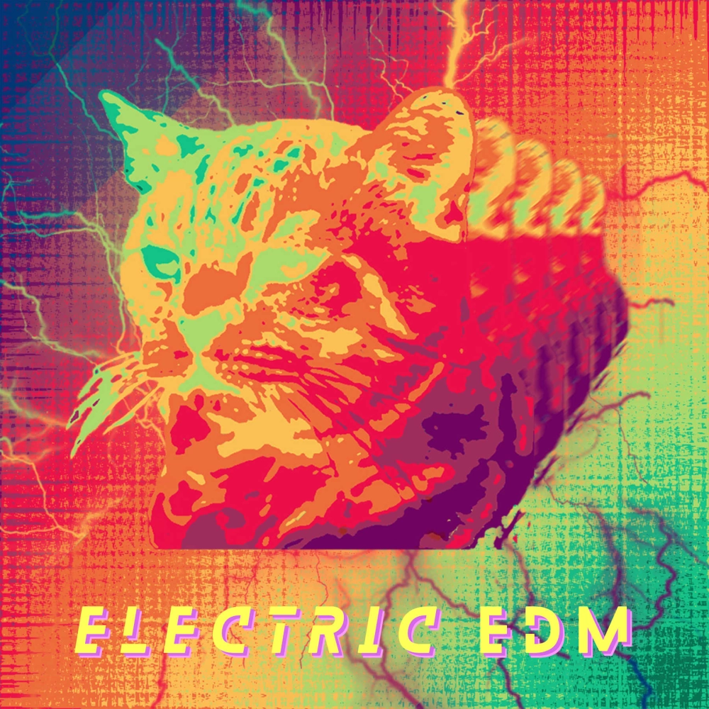 Electric Edm