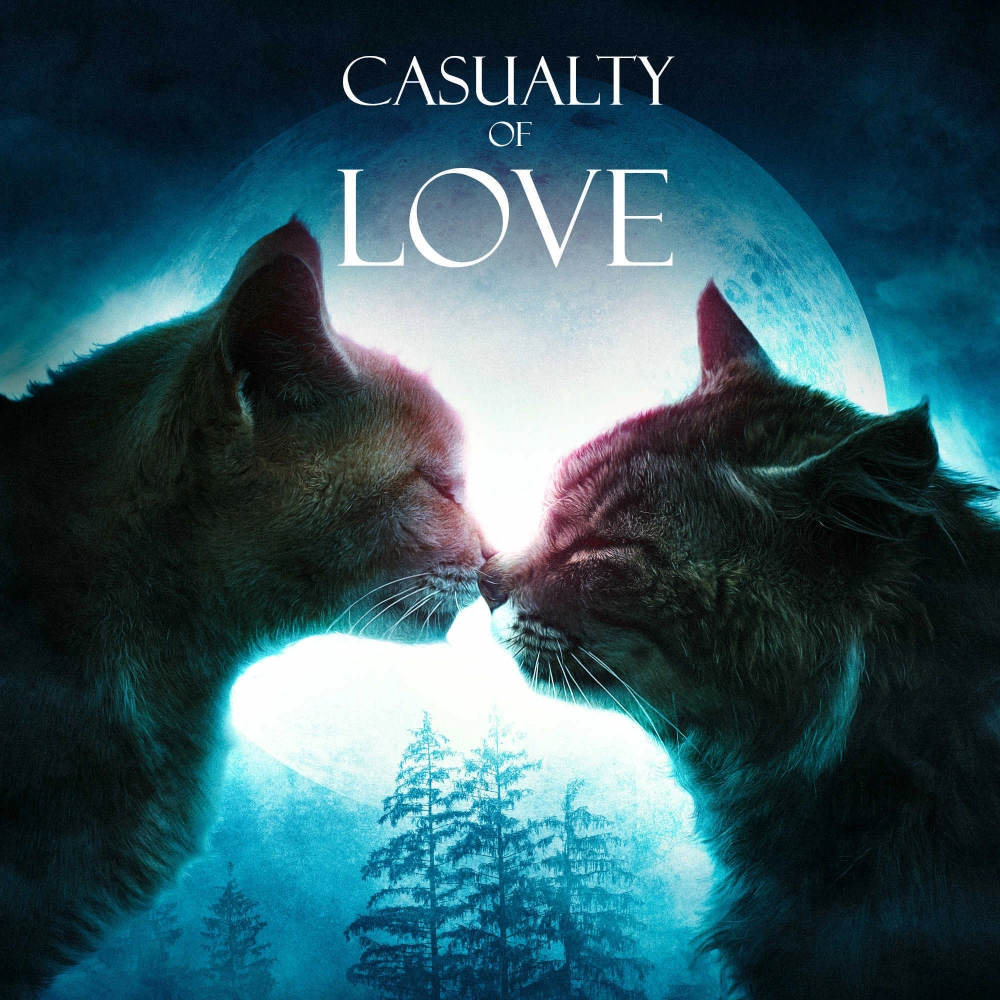 Casualty Of Love - Singer Songwriter